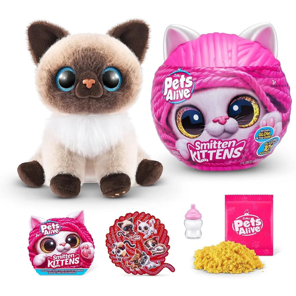 Magic Kittens Surprise