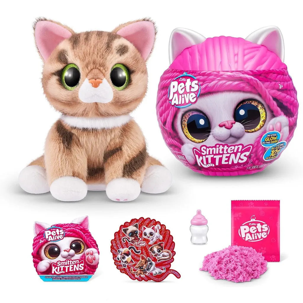 Magic Kittens Surprise