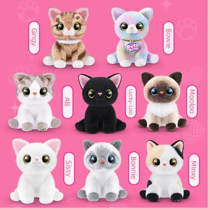 Magic Kittens Surprise