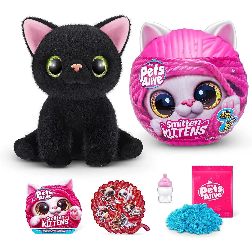Magic Kittens Surprise
