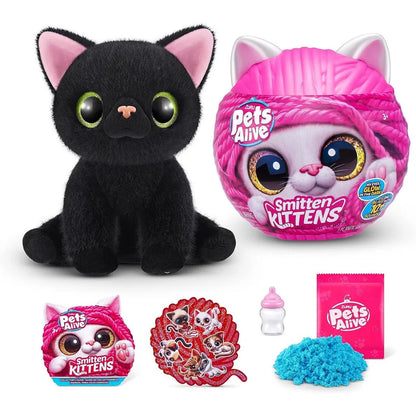 Magic Kittens Surprise