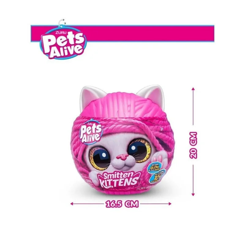 Magic Kittens Surprise