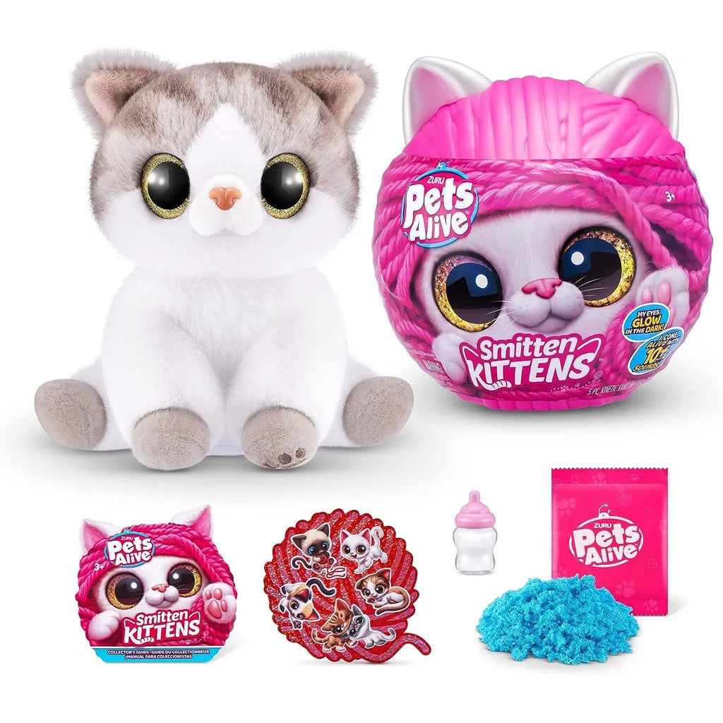 Magic Kittens Surprise