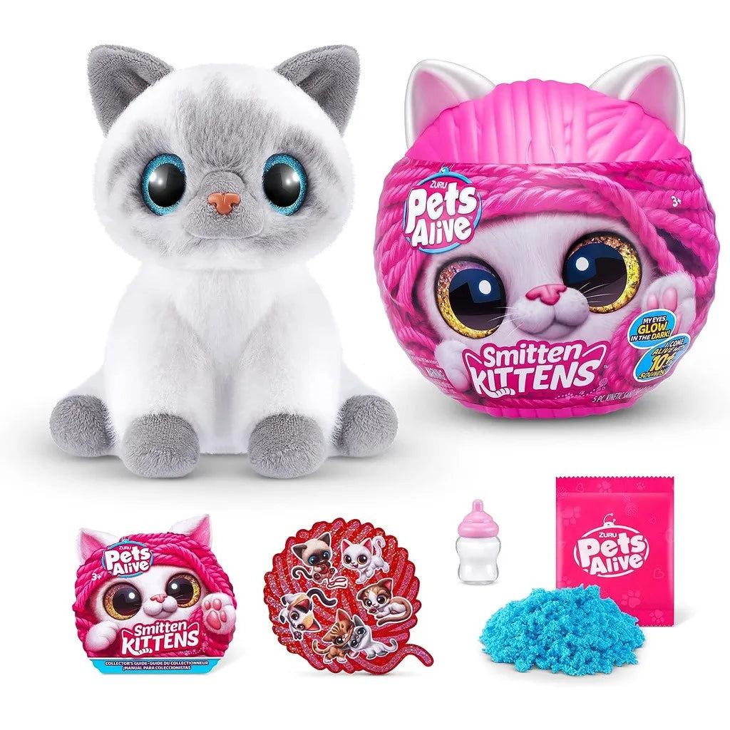 Magic Kittens Surprise