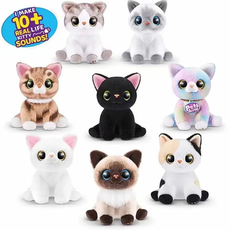 Magic Kittens Surprise